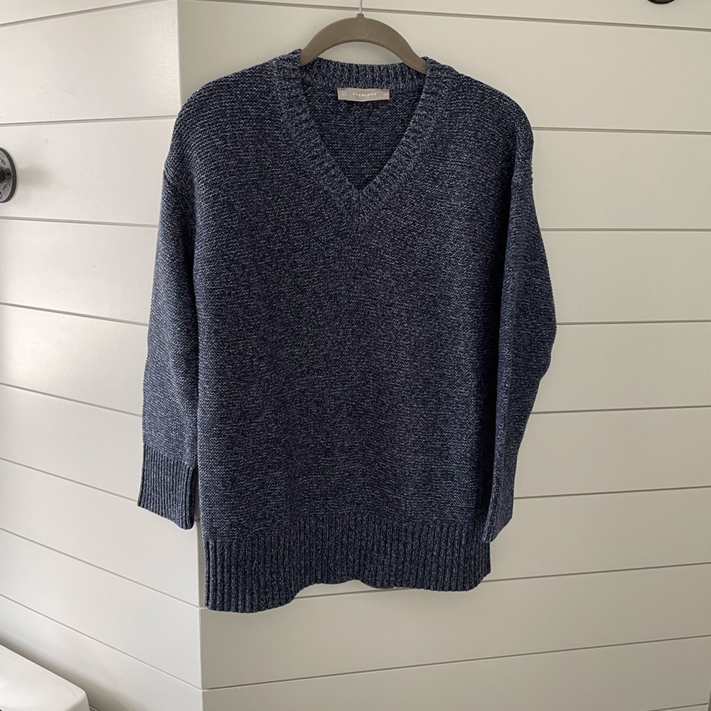 Everlane Tunic V-neck sweater